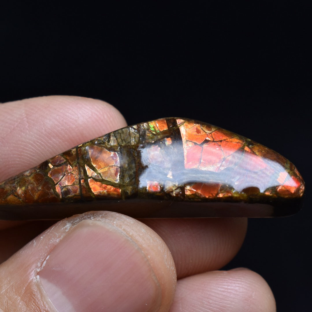 Canadian Natural Ammolite, Ammonite Freeform Polished Cabochon Specimen - 4.1cm x 1.2cm - 6.7 grams