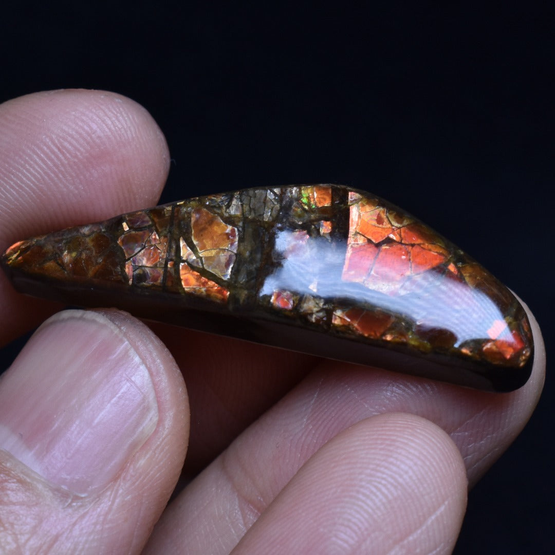 Canadian Natural Ammolite, Ammonite Freeform Polished Cabochon Specimen - 4.1cm x 1.2cm - 6.7 grams