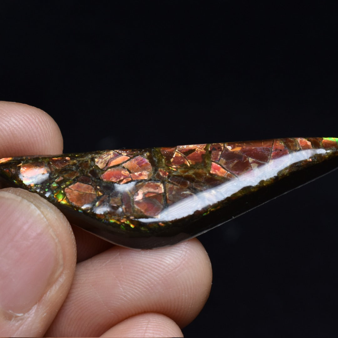 Canadian Natural Ammolite, Ammonite Freeform Polished Cabochon Specimen - 5cm x 1.2cm - 6.1 grams
