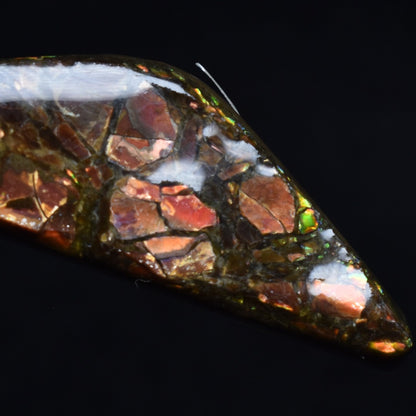 Canadian Natural Ammolite, Ammonite Freeform Polished Cabochon Specimen - 5cm x 1.2cm - 6.1 grams