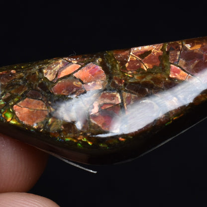 Canadian Natural Ammolite, Ammonite Freeform Polished Cabochon Specimen - 5cm x 1.2cm - 6.1 grams