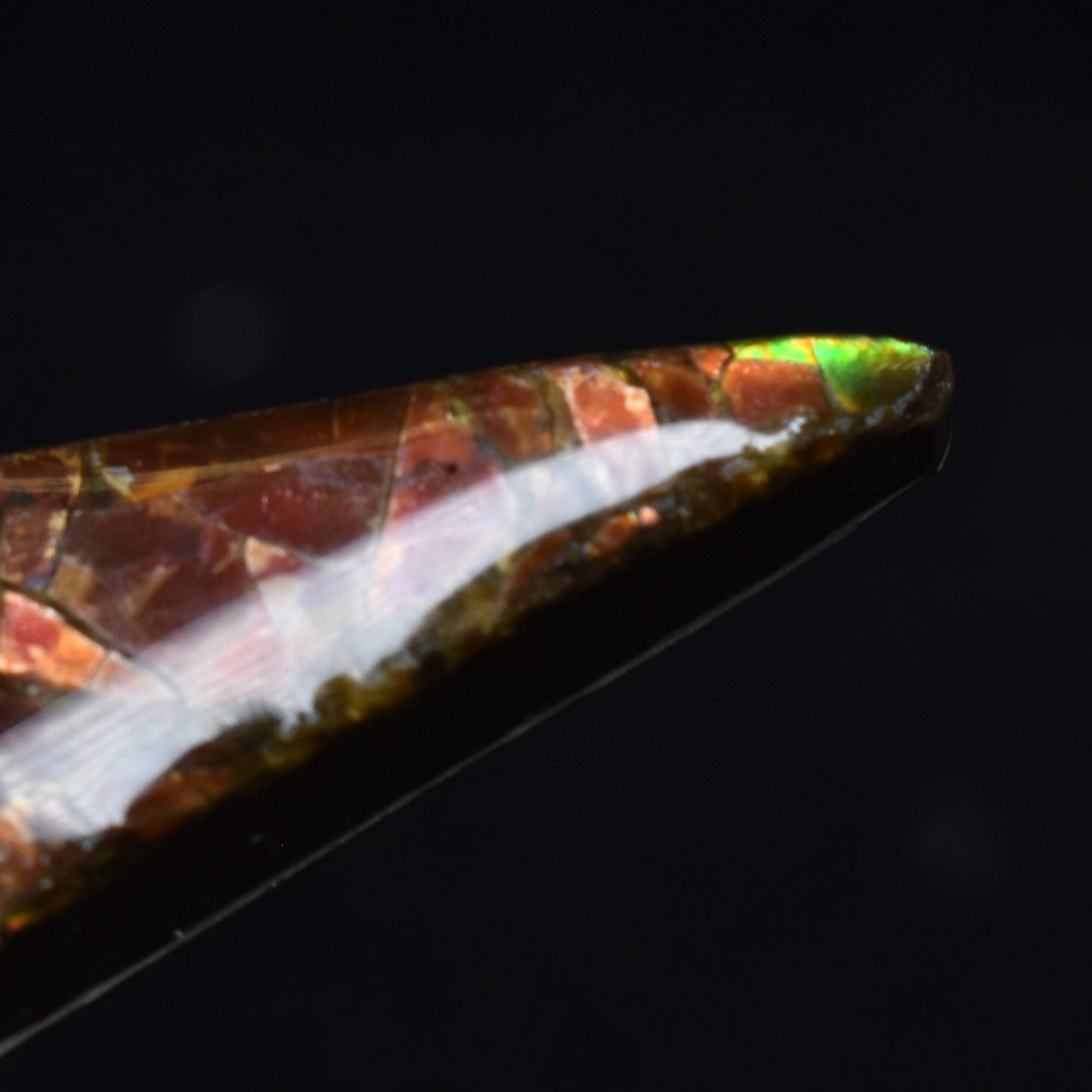Canadian Natural Ammolite, Ammonite Freeform Polished Cabochon Specimen - 5cm x 1.2cm - 6.1 grams
