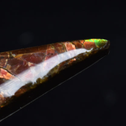 Canadian Natural Ammolite, Ammonite Freeform Polished Cabochon Specimen - 5cm x 1.2cm - 6.1 grams