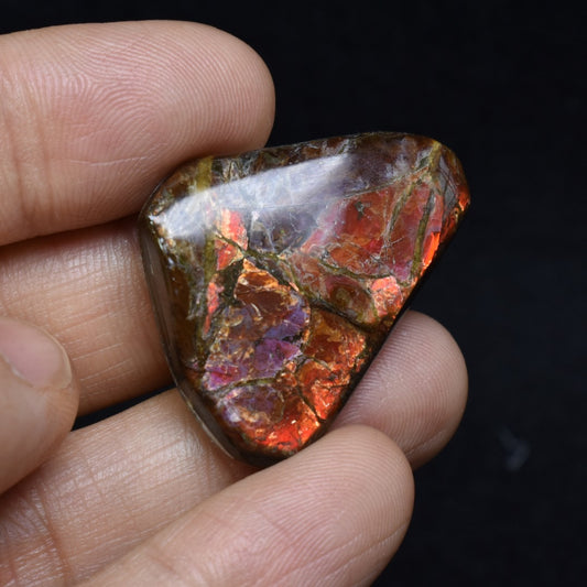 Canadian Natural Ammolite, Ammonite Freeform Polished Cabochon Specimen - 3.3cm x 2.6cm - 6.7 grams