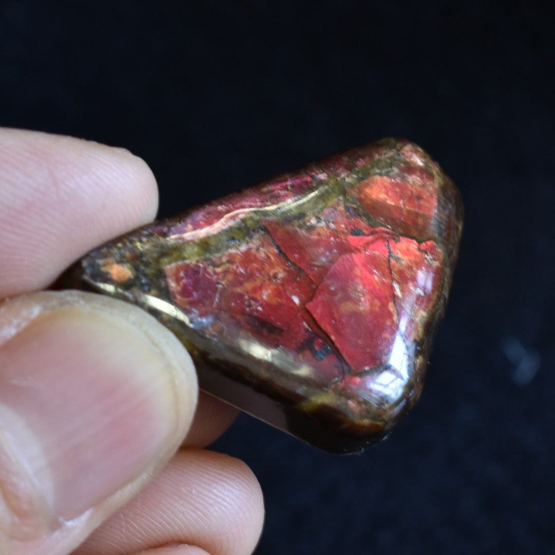 Canadian Natural Ammolite, Ammonite Freeform Polished Cabochon Specimen - 3.9cm x 2.3cm - 9.8 grams