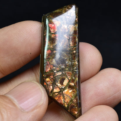 Canadian Natural Ammolite, Ammonite Freeform Polished Cabochon Specimen - 4.4cm x 1.5cm - 7.6 grams