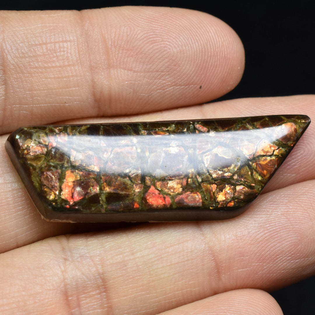 Canadian Natural Ammolite, Ammonite Freeform Polished Cabochon Specimen - 4.4cm x 1.5cm - 7.6 grams