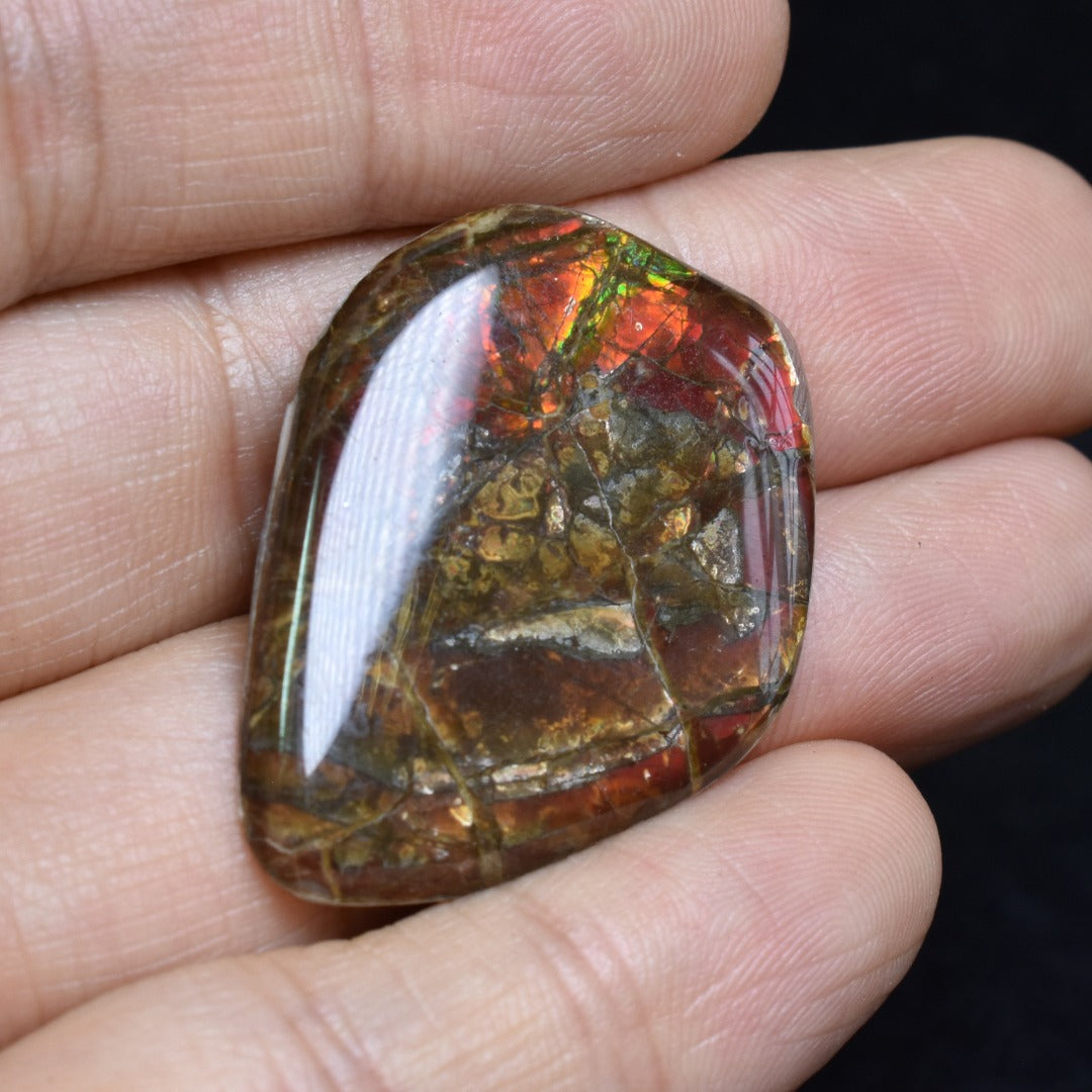 Canadian Natural Ammolite, Ammonite Freeform Polished Cabochon Specimen - 3.5cm x 2.6cm - 3.1 grams