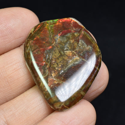 Canadian Natural Ammolite, Ammonite Freeform Polished Cabochon Specimen - 3.5cm x 2.6cm - 3.1 grams