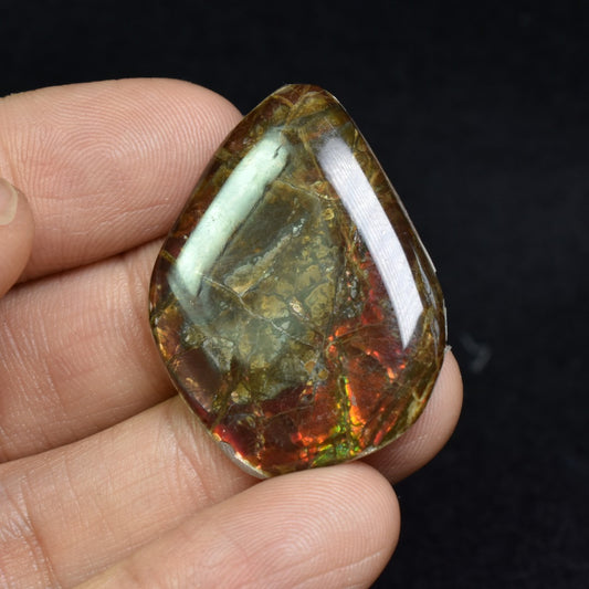 Canadian Natural Ammolite, Ammonite Freeform Polished Cabochon Specimen - 3.5cm x 2.6cm - 3.1 grams