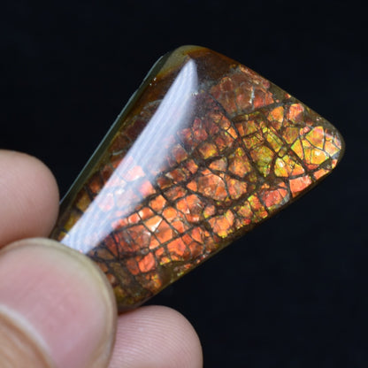 Canadian Natural Ammolite, Ammonite Freeform Polished Cabochon Specimen - 3.5cm x 2.3cm - 7.4 grams