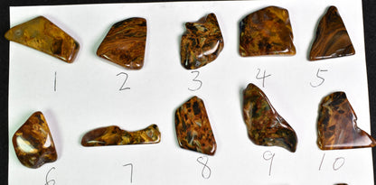 Golden, Blue Pietersite Top Grade Polished Tumble Stone Freeform from Namibia - Top Grade - 25 Options - G1