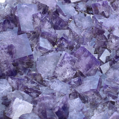 Purple Fluorite Raw Cluster Specimen - Sourced Greenlaws Mine, England, UK - 1304 grams #GLF01-01
