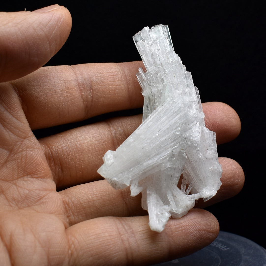 Natural Scolecite Spray, Synergy 12, Raw Crystal Specimen from India - 1 Count - 22.4 grams #30