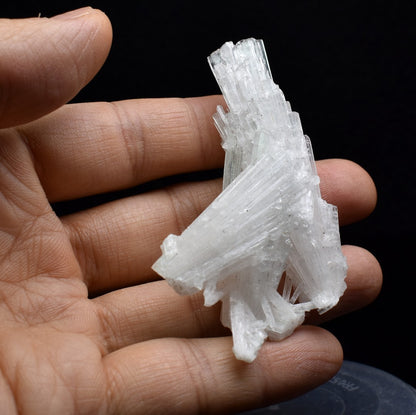 Natural Scolecite Spray, Synergy 12, Raw Crystal Specimen from India - 1 Count - 22.4 grams #30