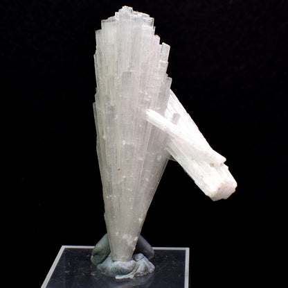 Natural Scolecite Spray, Synergy 12, Raw Crystal Specimen from India - 1 Count - 19.7 grams #32