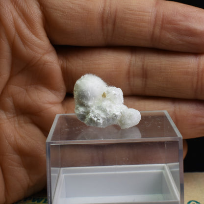 Natural Okenite with Gyrolite, Apophyllite, Mineral Specimen from India - 1 Count - 1.9 grams #17