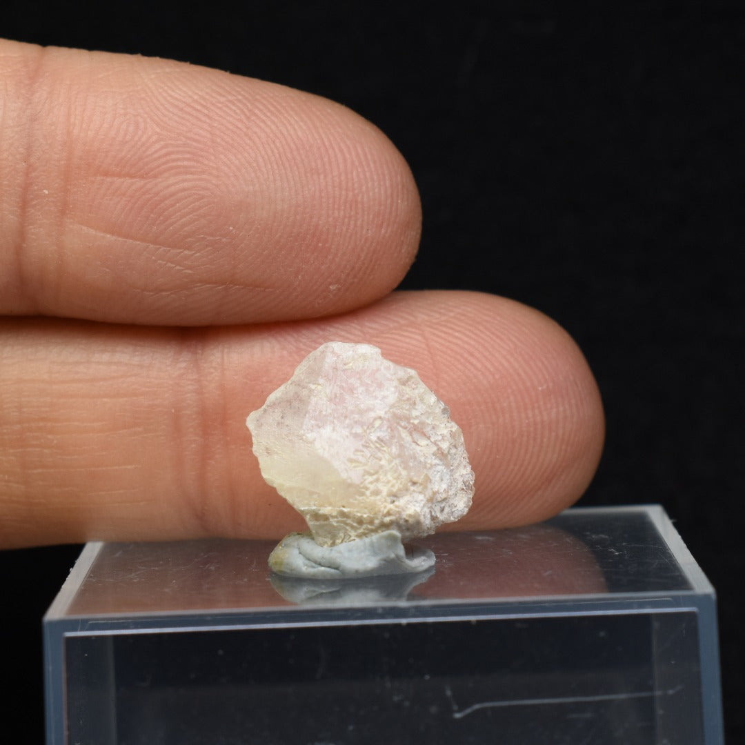 Phenakite, Phenacite RARE Crystal from Ukraine - 6ct, 1.23 grams, 1.4cm