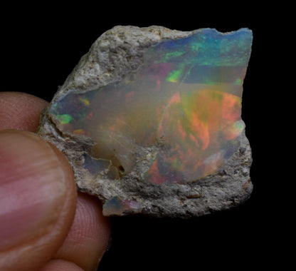 Large Ethiopian Welo Rough Opal Top Grade Specimen - 22ct weight #123