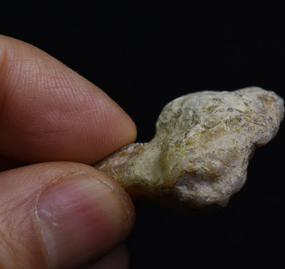 Large Ethiopian Welo Rough Opal Top Grade Specimen - 44ct weight #125