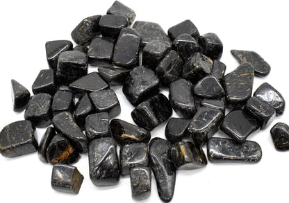 Nuummite Tumbled Stone, Genuine Crystal from Greenland - 3 Sizes - 1 Count