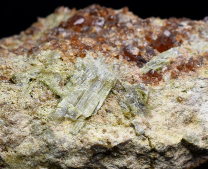 Grossular Garnet Hessonite Cluster with Green Epidote Crystal Specimen from Coyote Front Range, California - 198 grams #11