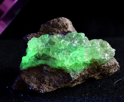 Mexican Hyalite Opal Collector Grade Specimen Stone on Matrix - UV Reactive Fluorescent - 84 grams #01