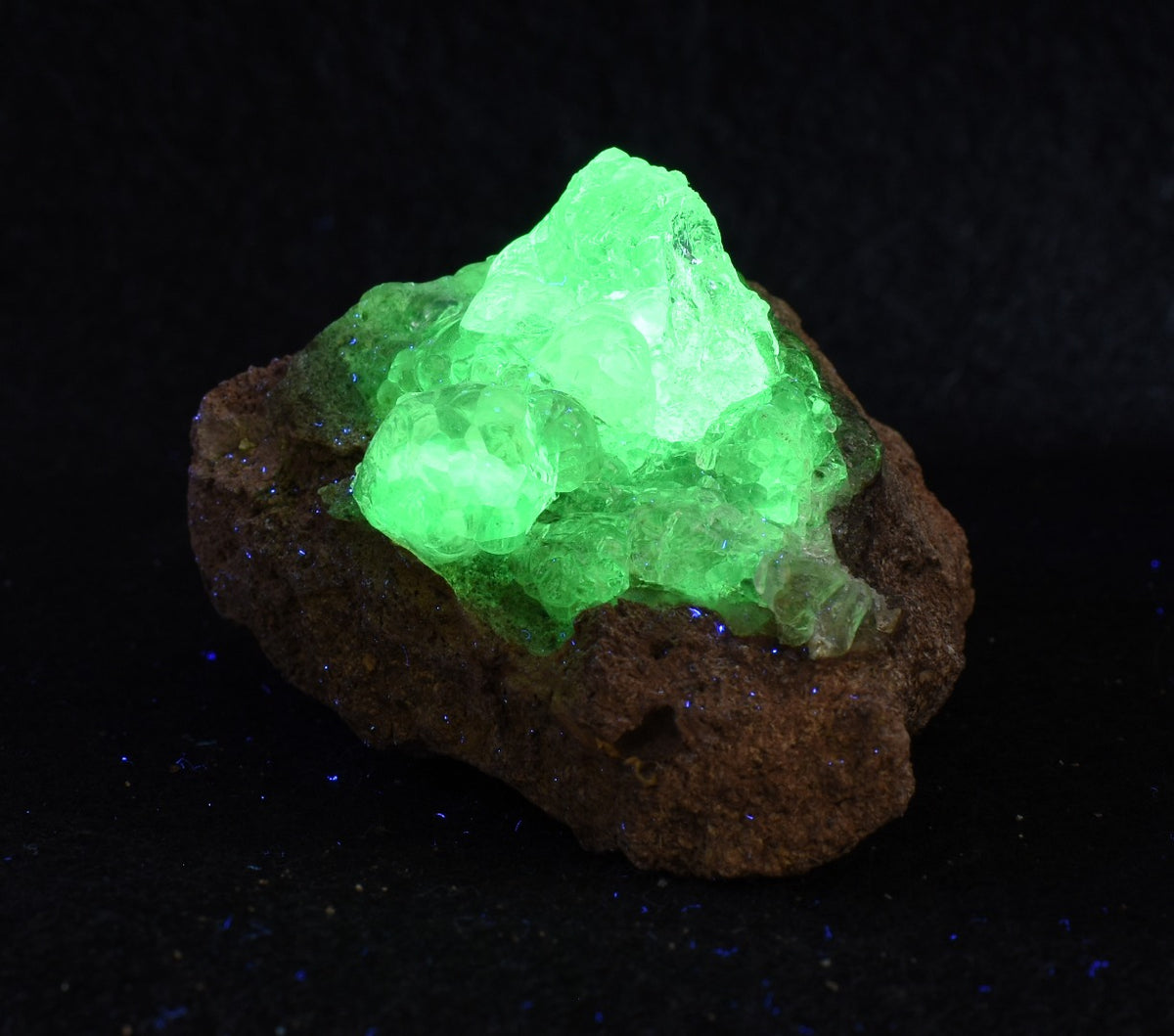 Mexican Hyalite Opal Collector Grade Specimen Stone on Matrix - UV Reactive Fluorescent - 62 grams #11