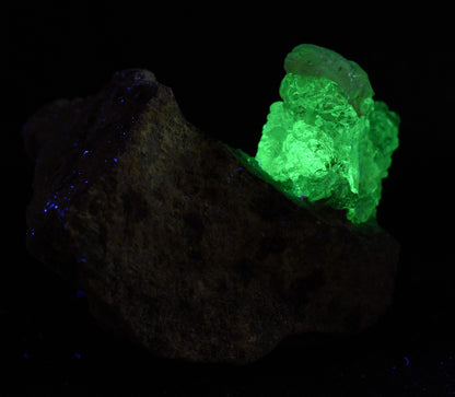 Mexican Hyalite Opal Collector Grade Specimen Stone on Matrix - UV Reactive Fluorescent - 81 grams #17