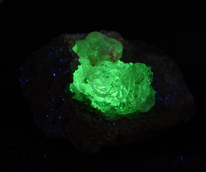 Mexican Hyalite Opal Collector Grade Specimen Stone on Matrix - UV Reactive Fluorescent - 81 grams #17