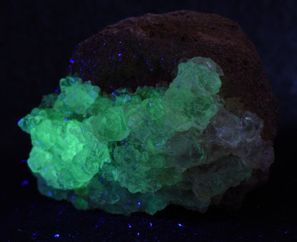 Mexican Hyalite Opal Collector Grade Specimen Stone on Matrix - UV Reactive Fluorescent - 54 grams #20