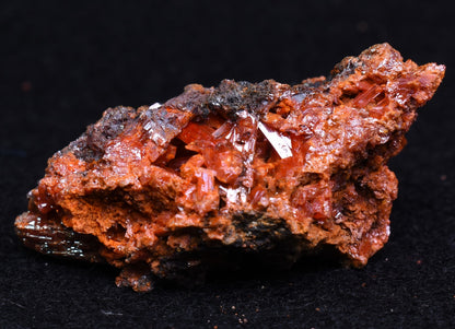 Crocoite Rare Mineral, from Red Lead Mine, Tasmania, Australia - 28 grams - 4.5cm #04