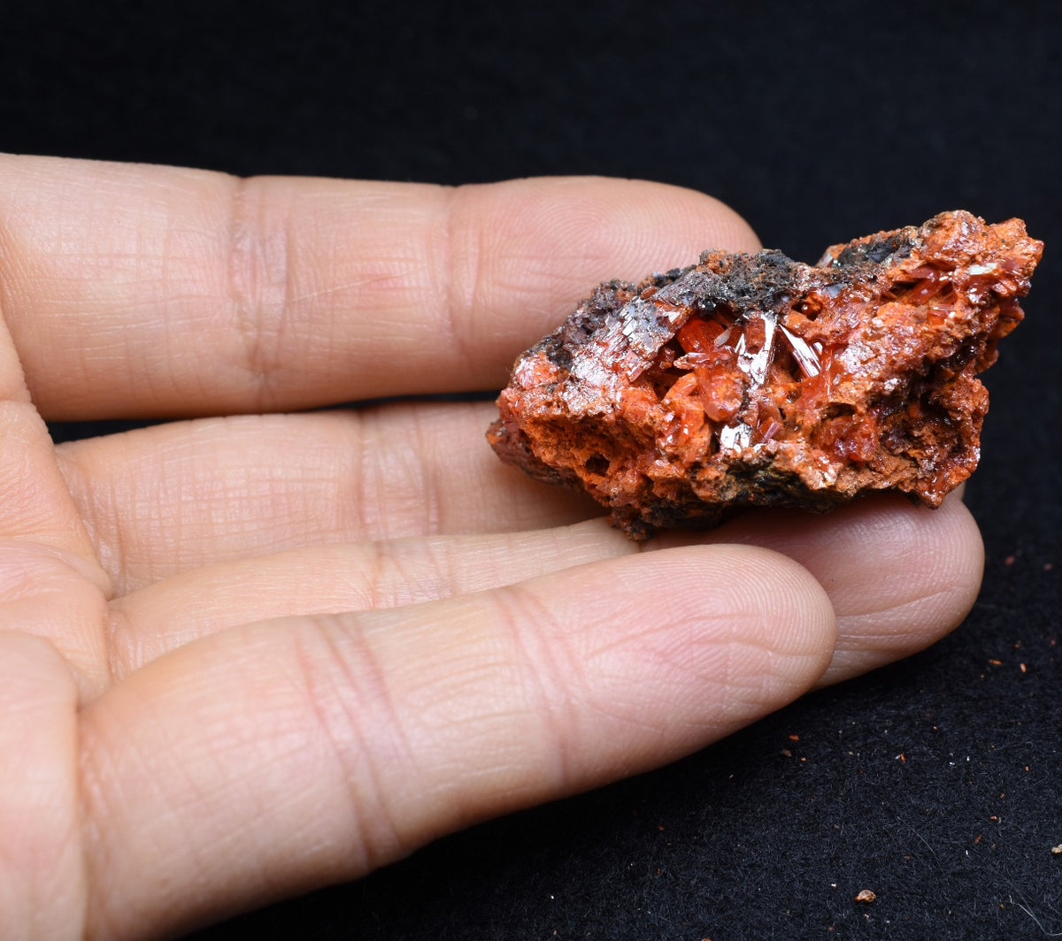 Crocoite Rare Mineral, from Red Lead Mine, Tasmania, Australia - 28 grams - 4.5cm #04