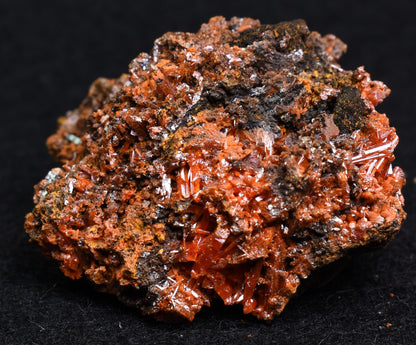Crocoite Rare Mineral, from Red Lead Mine, Tasmania, Australia - 44 grams - 4cm #13