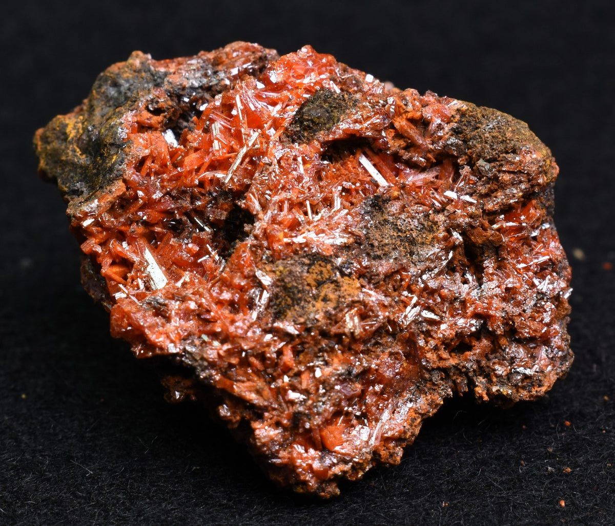Crocoite Rare Mineral, from Red Lead Mine, Tasmania, Australia - 44 grams - 4cm #13