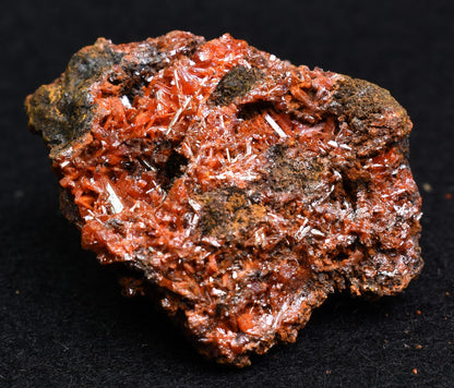 Crocoite Rare Mineral, from Red Lead Mine, Tasmania, Australia - 44 grams - 4cm #13