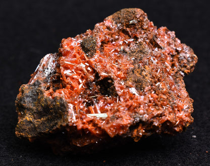 Crocoite Rare Mineral, from Red Lead Mine, Tasmania, Australia - 44 grams - 4cm #13