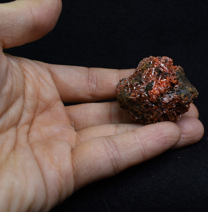 Crocoite Rare Mineral, from Red Lead Mine, Tasmania, Australia - 44 grams - 4cm #13