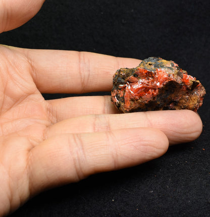 Crocoite Rare Mineral, from Red Lead Mine, Tasmania, Australia - 40 grams - 4cm #15