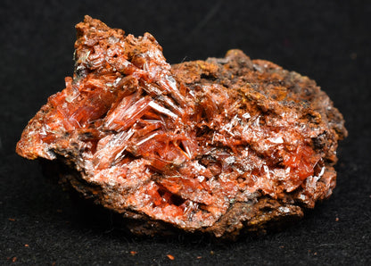 Crocoite Rare Mineral, from Red Lead Mine, Tasmania, Australia - 52 grams - 5cm #16