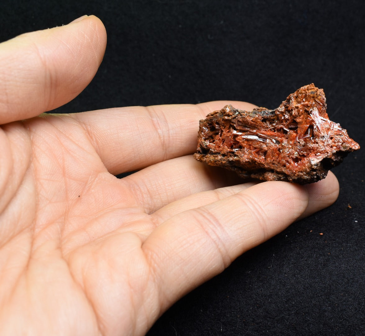 Crocoite Rare Mineral, from Red Lead Mine, Tasmania, Australia - 52 grams - 5cm #16
