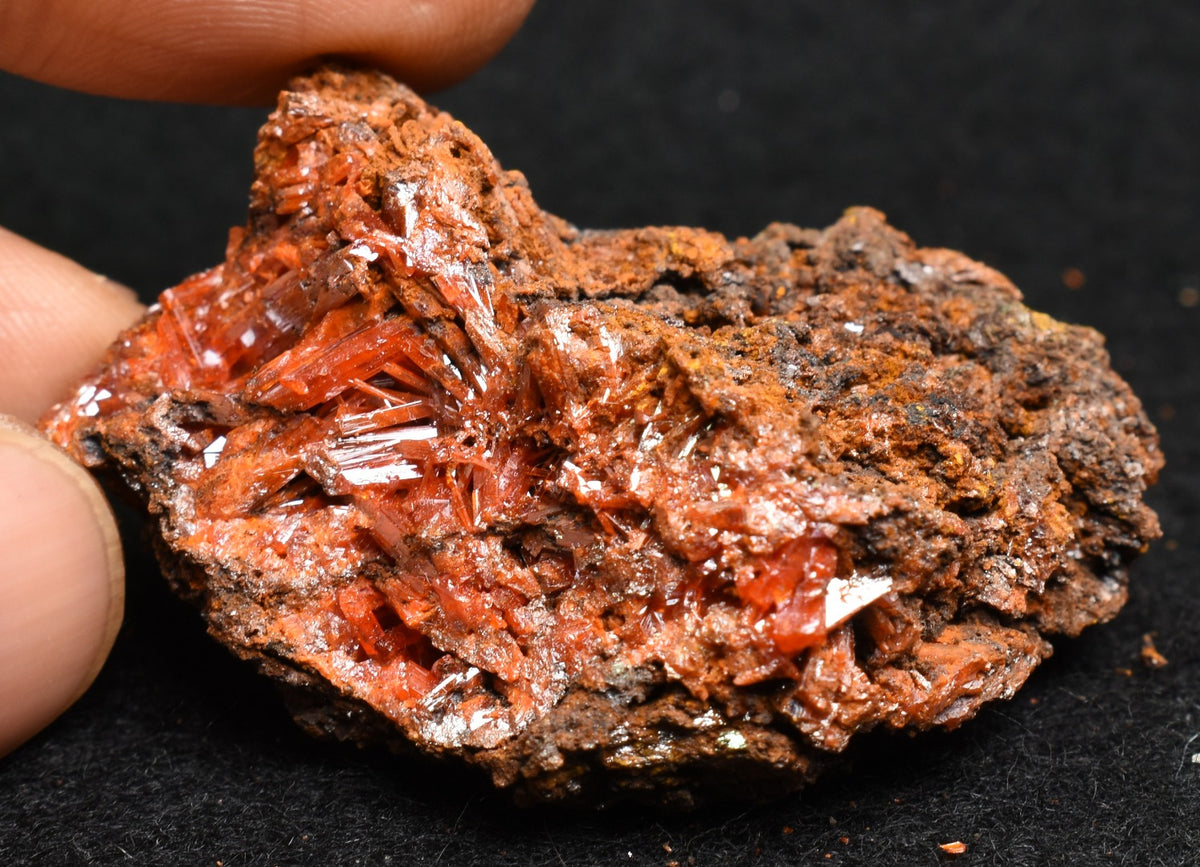 Crocoite Rare Mineral, from Red Lead Mine, Tasmania, Australia - 52 grams - 5cm #16