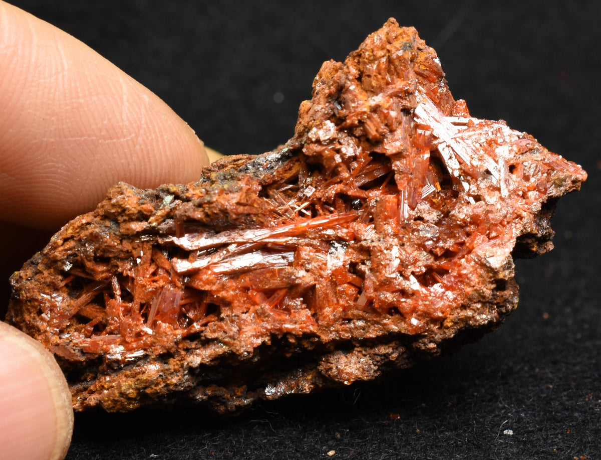 Crocoite Rare Mineral, from Red Lead Mine, Tasmania, Australia - 52 grams - 5cm #16