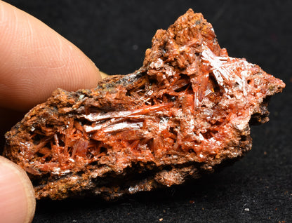 Crocoite Rare Mineral, from Red Lead Mine, Tasmania, Australia - 52 grams - 5cm #16