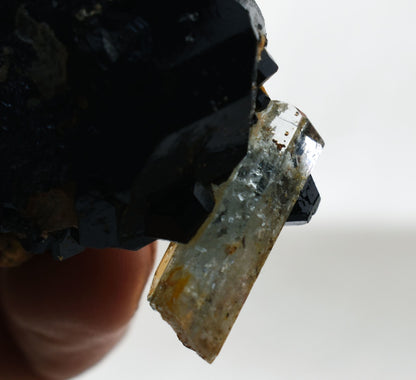 Beryl var. Aquamarine with Schorl Black Tourmaline & Feldspar from Erongo Mountains, Namibia - 45.9 grams #A17