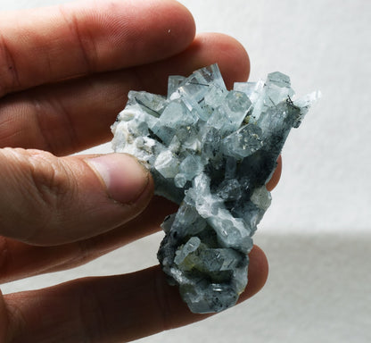 Beryl var. Aquamarine with Schorl Black Tourmaline from Erongo Mountains, Namibia - 43.7 grams #A24