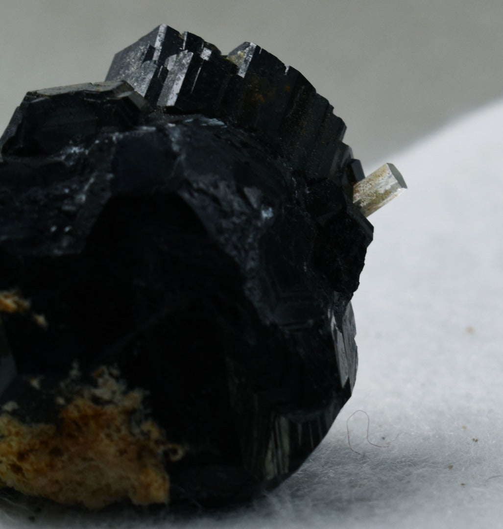 Beryl var. Aquamarine in Schorl Black Tourmaline from Erongo Mountains, Namibia - 32.8 grams #A25