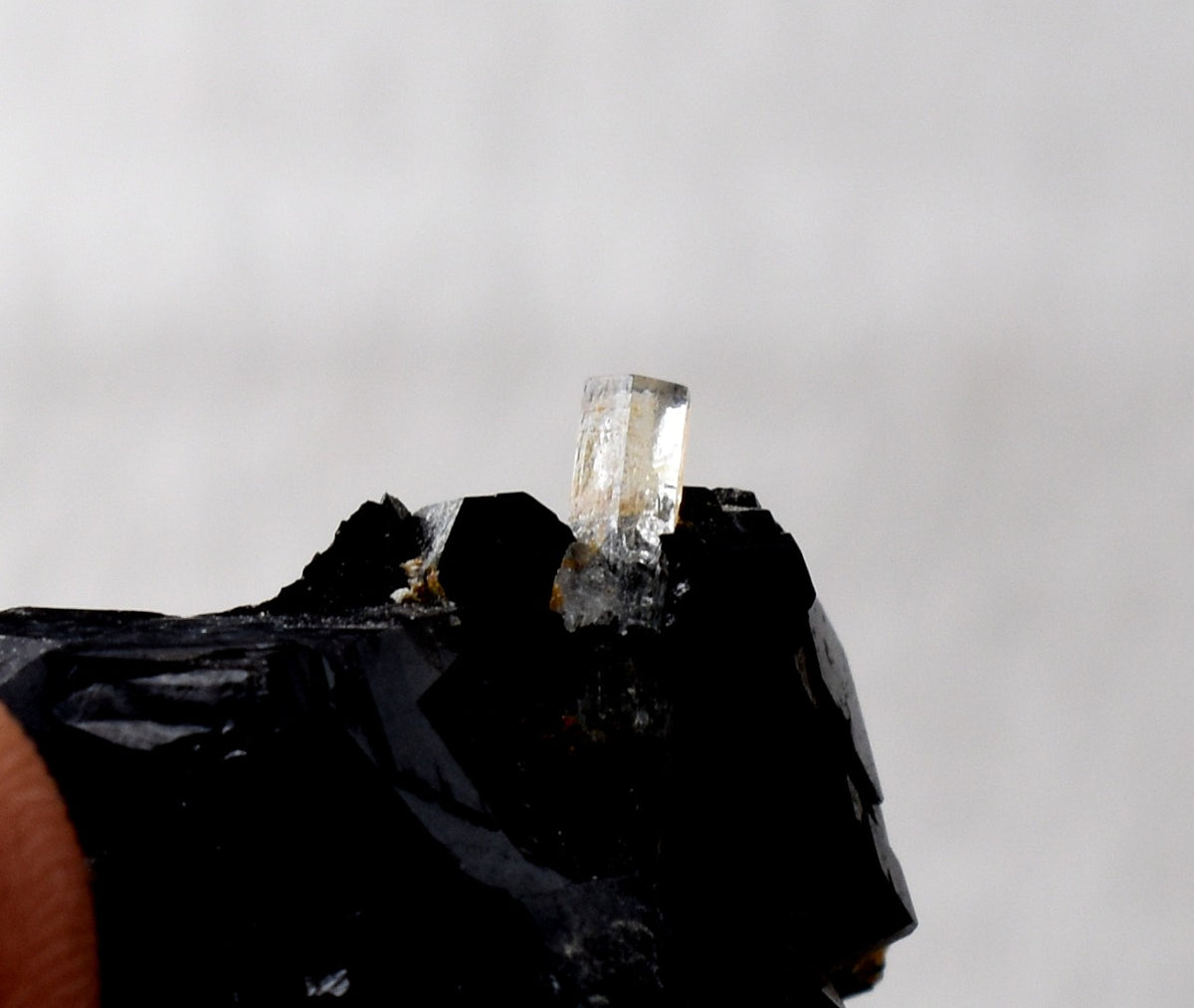 Beryl var. Aquamarine in Schorl Black Tourmaline from Erongo Mountains, Namibia - 32.8 grams #A25