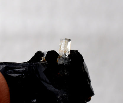 Beryl var. Aquamarine in Schorl Black Tourmaline from Erongo Mountains, Namibia - 32.8 grams #A25