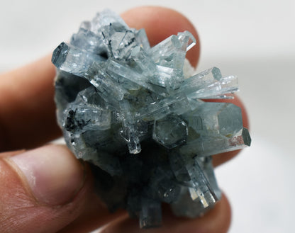 Beryl var. Aquamarine with Schorl Black Tourmaline from Erongo Mountains, Namibia - 27.9 grams #A31